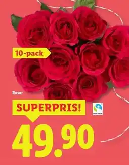 Lidl ROSOR 10-PACK erbjuda