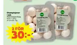 Stora Coop Champinjoner i ask erbjuda