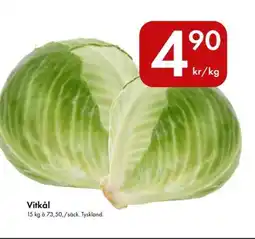 Snabbgross Vitkål erbjuda