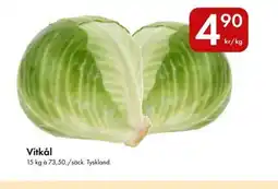 Snabbgross Vitkål erbjuda