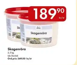 Snabbgross Ida Skagenröra erbjuda