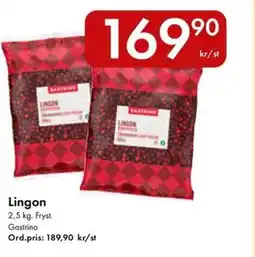 Snabbgross Gastrino Lingon erbjuda
