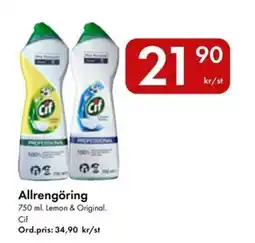 Snabbgross Cif Allrengöring erbjuda