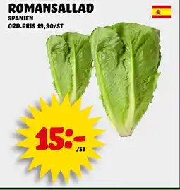 Nelins Romansallad erbjuda