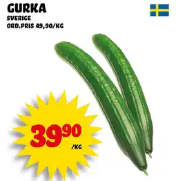 Nelins Gurka erbjuda