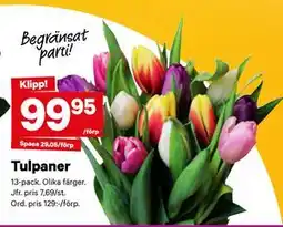 City Gross Tulpaner erbjuda