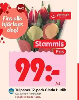 ICA Kvantum Tulpaner 12-pack Glada Hudik erbjuda