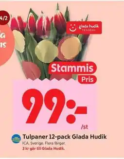 ICA Kvantum Tulpaner 12-pack Glada Hudik erbjuda