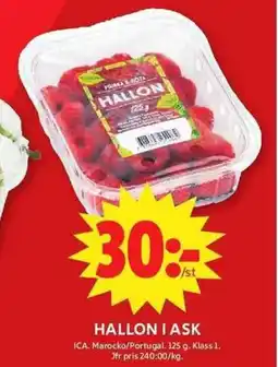 ICA Maxi Hallon i ask erbjuda