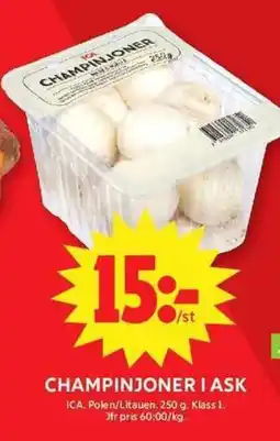 ICA Maxi Champinjoner i ask erbjuda