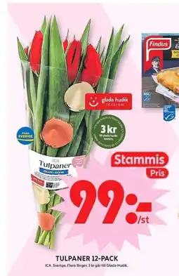 ICA Maxi Tulpaner 12-pack erbjuda