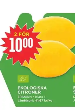 Willys Ekologiska citroner erbjuda
