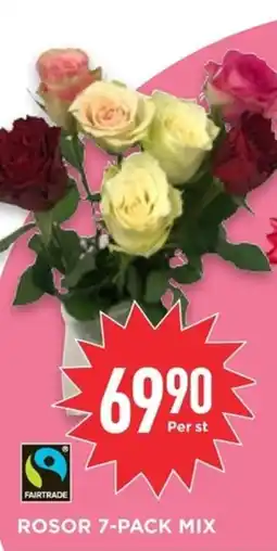 Willys Rosor 7-pack mix erbjuda