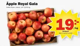 Pekås Äpple Royal Gala erbjuda