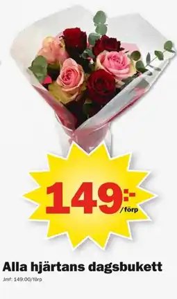 Pekås Alla hjärtans dagsbukett erbjuda