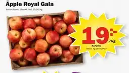 Pekås Äpple Royal Gala, Medlemspris erbjuda
