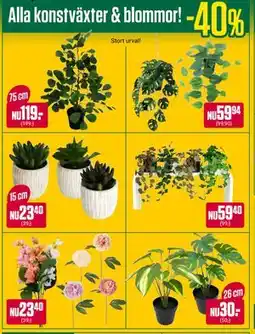 ÖoB Alla konstväxter & blommor! erbjuda