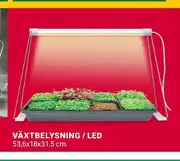 ÖoB VÄXTBELYSNING / LED erbjuda