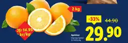 Lidl Apelsiner erbjuda