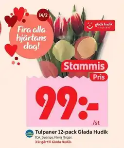 ICA Kvantum Tulpaner 12-pack Glada Hudik, Medlemspris erbjuda