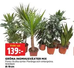 Jem&Fix GRÖNA INOMHUSVÄXTER MIX erbjuda