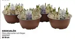 Jem&Fix KROKUSLÖK erbjuda