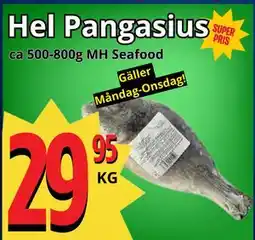 Supergrossen Hel Pangasius erbjuda