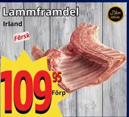 Supergrossen Lammframdel erbjuda