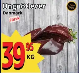 Supergrossen Ungnötlever erbjuda