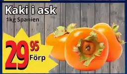 Supergrossen Kaki i ask erbjuda