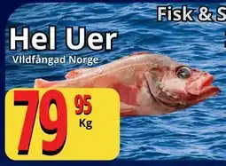 Supergrossen Hel Uer erbjuda