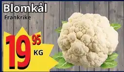 Supergrossen Blomkål erbjuda