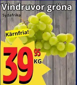 Supergrossen Vindruvor gröna erbjuda
