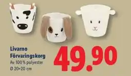 Lidl Livarno Förvaringskorg erbjuda