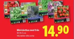 Lidl Miniväxthus med frön erbjuda