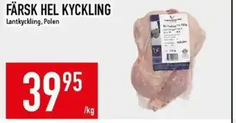 Matdax Färsk hel kyckling erbjuda