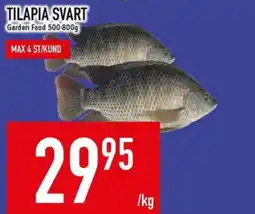 Matdax Tilapia svart erbjuda
