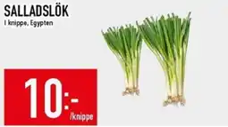 Matdax Salladslök erbjuda