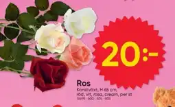 DollarStore Ros erbjuda