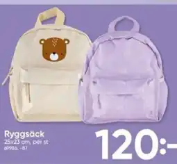 DollarStore Ryggsäck erbjuda