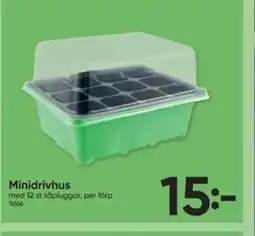 DollarStore Minidrivhus erbjuda