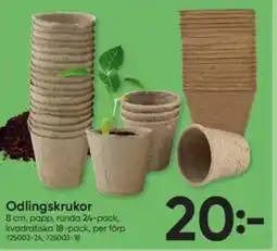 DollarStore Odlingskrukor erbjuda