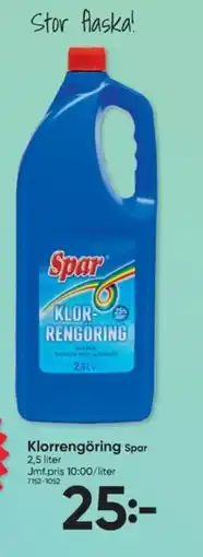 DollarStore Spar Klorrengöring erbjuda