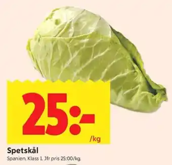 Spetskål