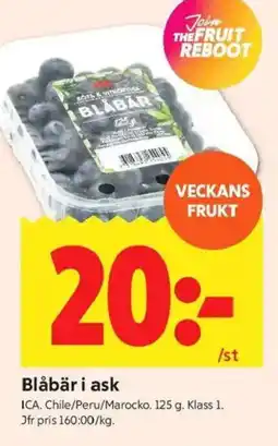 ICA Kvantum ICA Blåbär i ask erbjuda