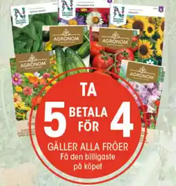 EKO Gäller alla fröer erbjuda