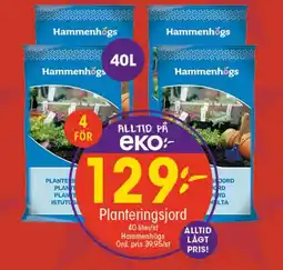 EKO HAMMENHÖGS Planteringsjord erbjuda