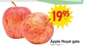 Äpple Royal gala