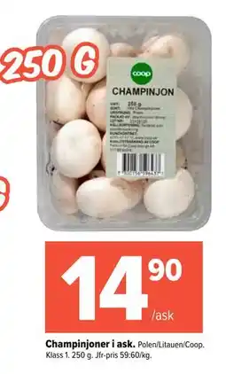 Coop Extra Champinjoner i ask erbjuda