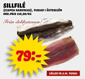 Nelins Sillfilé erbjuda